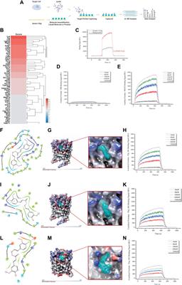 Coniferyl ferulate alleviate xylene-caused hematopoietic stem and progenitor cell toxicity by Mgst2